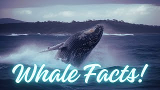 Mind Blowing Facts About Blue Whales [upl. by Akinnor188]