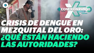 Crisis de dengue en Zacatecas Mezquital del Oro exige acción inmediata  Reporte Indigo [upl. by Chor448]