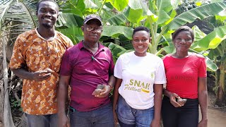 Snail farming in Ghana [upl. by Aneladdam]