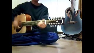 山本彩 365日の紙飛行機 弾き語り 12弦ギター YAMAHA FG720S12 [upl. by Lura974]