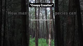 Creepy Crawlies chillingtruths creepyfacts scary terrifyingtale darktales terrifyingtales [upl. by Tiernan]