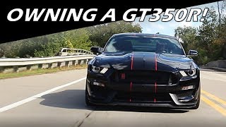 What Its Like To Own A Shelby GT350R [upl. by Toile]