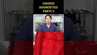 OXIUROS DIAGNOSTICO  PARTE 3 [upl. by Saraann]