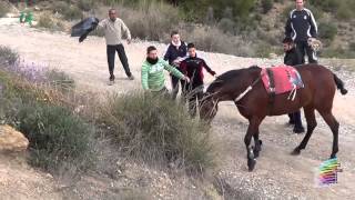 II Convivencia Caballos del Vino  Caravaca de la Cruz 23022013 [upl. by Harelda]