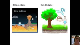 Aula 4  Ciclos biogeoquímicos Carbono [upl. by Gay131]