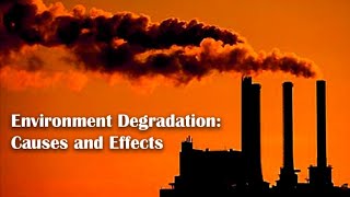 Environment Degradation Causes and Effects [upl. by Nick294]