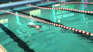 Les éducatifs en papillon  exercices en ondulations par natation pour tous [upl. by Chevy212]