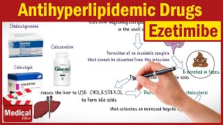 Pharmacology CVS 33 Antihyperlipidemic Drugs  Cholesterol Absorption Inhibitors  Omega 3 [upl. by Kuster]