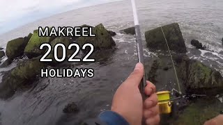 Hoe vang ik HORSMAKREEL tips amp tricks Makreel vissen vanaf de kant [upl. by Llezo802]