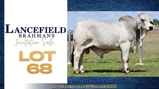 Lot 68 Lancefield M Maclain 8357 [upl. by Constant627]