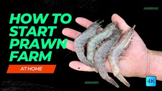 How To Start PRAWN FARMING At HOME For HIGH PROFIT  Shrimp Farming Guide  Things you need to know [upl. by Conner61]