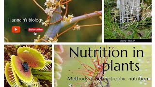 Methods of heterotrophic nutrition in plants biologistasifsaleem0910 [upl. by Everara]