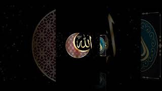 Islamic video muhhumad nabiha natt best short feed love Allah ❤️❤️ unfreeze my account plz [upl. by Saihtam114]