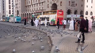 Saudi Arabia Travel Madina City Tour by Bus [upl. by Tarrel]