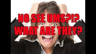 NOSEEEMs  What are they and how do I get rid of them [upl. by Reames]