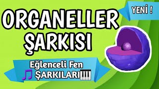 Hücrenin Organelleri Şarkısı  Eğlenceli Fen Şarkıları  Elif Hoca Diyor ki [upl. by Eiramnna289]