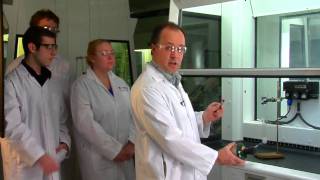 Learn by Experimentation MampMs and Potassium Chlorate [upl. by Leunamne]