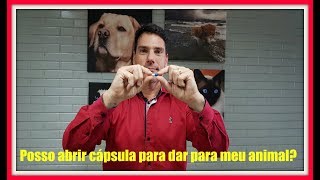 Posso abrir cápsula de remédio para dar para meu animal [upl. by Llertnek]