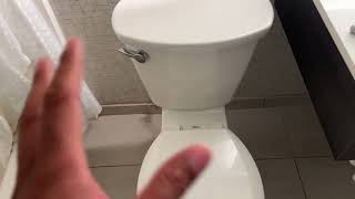 American Standard Toilet  How To Remove and Replace Toilet Seat￼ [upl. by Jorgan]