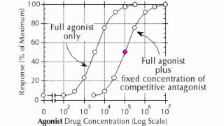 Dose Response Curve [upl. by Annoval602]