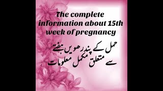 Pregnancy At 15TH Week  TheComplete Mothers Guide About 15th Week Of Pregnancy [upl. by Blake681]