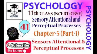 Psychology11thHuman DevelopmentSensory Attentional amp Perceptual ProcessesChap 5Part 1 [upl. by Kcolttam]