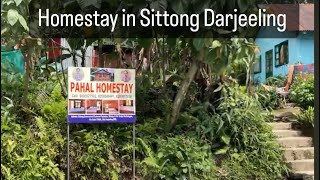 Pahal Homestay in Sittong Darjeeling [upl. by Lona646]