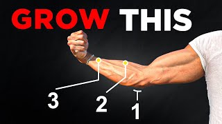 Unlock MASSIVE Forearms with These 3 Exercises Science Based [upl. by Fabyola]