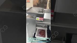 Pomegranate Aril Separator Machine Pomegranate Peeling Line [upl. by Mutat636]