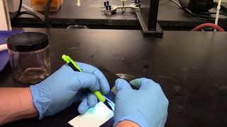 Nitration of Acetanilide TLC Analysis [upl. by Ade]