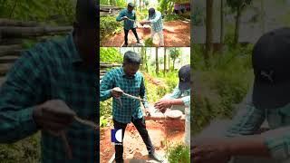 ചുടലിമുള്ള് ഉപയോഗിച്ച് പിടികൂടി vavasuresh snakemaster [upl. by Charmine]