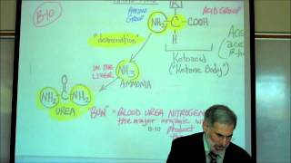 PHYSIOLOGY CELLULAR RESPIRATION PART 2 by Professor Fink [upl. by Eolcin]