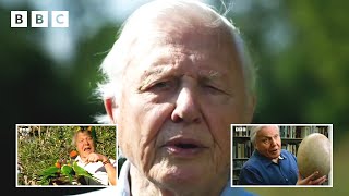 98 years of Sir David Attenborough in 98 seconds ❤️  David Attenboroughs Birthday  BBC [upl. by Attenad]