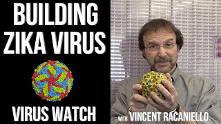 Virus Watch Building Zika Virus [upl. by Nycila]