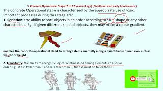 Concrete operational stage of Jean Piaget theory of cognitive development [upl. by Yl]