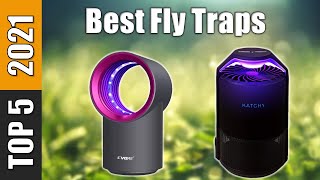 Top 5 Best Fly Traps Reviews 2021 [upl. by Hallvard]