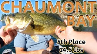 Chaumont Bay 2023 bassfishing bass basstournament [upl. by Bowyer]