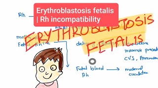 Erythroblastosis fetalis haematology 27 First Aid USMLE Step 1 in UrduHindi [upl. by Nabatse513]