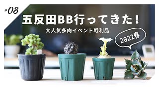 【五反田BB】あの多肉イベントでお迎えラッシュ！イベントレポート＆戦利品紹介｜2022春【東京都】 [upl. by Akemahc939]