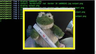 Imagemagick  Image Border  Tutorial  BASH  Linux [upl. by Infield817]