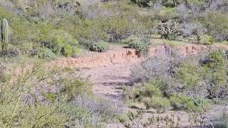 Gold Mining Claim For Sale  Wickenburg Arizona GV2728  40 acre Placer Mining Claim [upl. by Elledoj751]