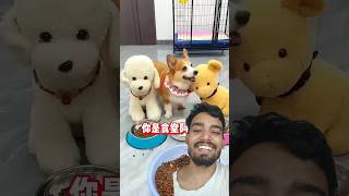 Angry 😡 Dog 🐕🤣😂funny shorts [upl. by Karr]