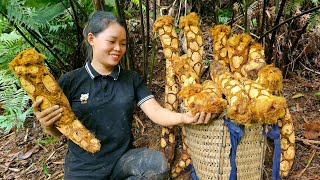 FULL VIDEO 210 Days Harvest Cardamom Fruit Papaya Figs Snail Go Market sell  Building a Farm [upl. by Lowenstern]