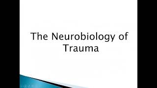 The Neurobiology of Trauma [upl. by Farman]