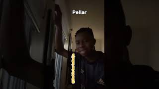 Update 😂😂🤣🤣🤣 This Pellar self just too funny trending shortvideos fypシ゚viral trend viral [upl. by Annmaria]