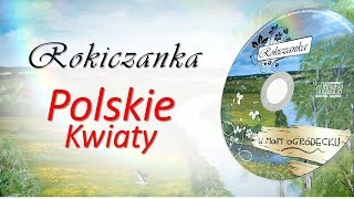 Rokiczanka  Polskie kwiaty TEKST [upl. by Aliban203]