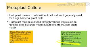 Organ Culture  Protoplast Culture  Plant Tissue Culture [upl. by Jevon]