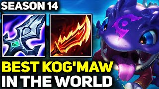 RANK 1 BEST KOGMAW IN SEASON 14  AMAZING GAMEPLAY  League of Legends [upl. by Opaline]