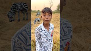 CHOTU KA VILAGE TIGER shorts FACTFIREKING [upl. by Reeta]