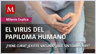 El virus del papiloma humano ¿Tiene cura ¿Qué síntomas hay  Milenio Explica [upl. by Zilevi]